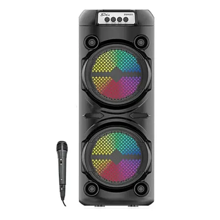 Ασύρματο Ηχείο Καραόκε με Ενσωματωμένο Μικρόφωνο ZQS6223 (μαύρο)